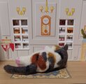 おねんね三毛猫 　寝具付き　羊毛フェルト