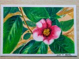抽象的なクレヨン画 花のデザイン 色とりどりの花が咲くクレヨン風絵画イラスト素材透過、PNG