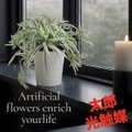 光触媒 人工観葉植物 ウォールグリーン フェイクグリーン オリヅルラン
