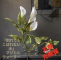 光触媒 人工観葉植物 ウォールグリーン フェイクグリーン マジカル