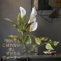 光触媒 人工観葉植物 ウォールグリーン フェイクグリーン マジカル
