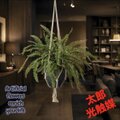 光触媒　人工観葉植物　ウォールグリーンフェイクグリーン　ソードファンハンギング 光触媒 人工観葉植物 ウォールグリーン フェイクグリーン 壁掛けソード