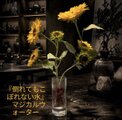 光触媒 人工観葉植物 ウォールグリーン フェイクグリーン マジカル