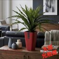 光触媒　人工観葉植物　ウォールグリーン　フェイクグリーン　ファーストローズ 光触媒 人工観葉植物 ウォールグリーン フェイクグリーン アスプ