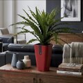 光触媒 人工観葉植物 ウォールグリーン フェイクグリーン アスプ