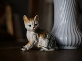 neko 2 フィギュリン 猫 フランスヴィンテージ ブロカントのある