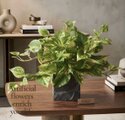 光触媒 人工観葉植物 ウォールグリーン フェイクグリーン ポトス3555