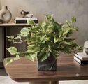 光触媒 人工観葉植物 ウォールグリーン フェイクグリーン ポトス3555
