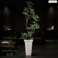 光触媒 観葉植物 ウォールグリーン フェイクグリーン スリムパキラ