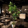 光触媒 観葉植物 ウォールグリーン フェイクグリーン ニュー