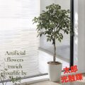 光触媒　人工観葉植物　ウォールグリーン　フェイクグリーン　フィカスツリー1.85 光触媒 人工観葉植物 ウォールグリーン フェイクグリーン フィカス