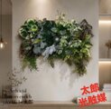 光触媒 人工観葉植物 ウォールグリーン フェイクグリーン 壁掛け5043