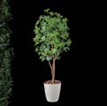 光触媒 人工観葉植物 ウォールグリーン フェイクグリーン カポック8321