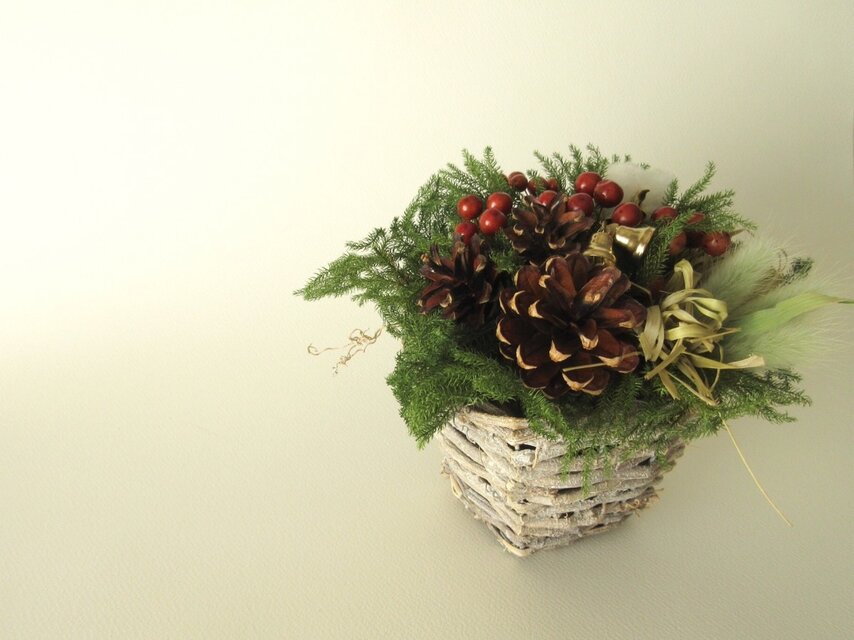 たちかずら・まつかさのアレンジ