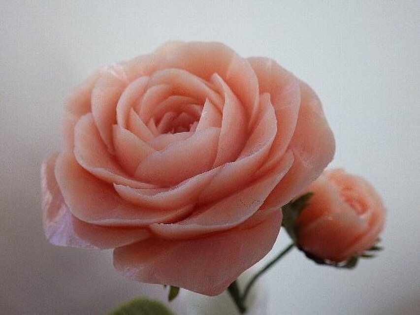 バラ一輪ざし。ソープカービング