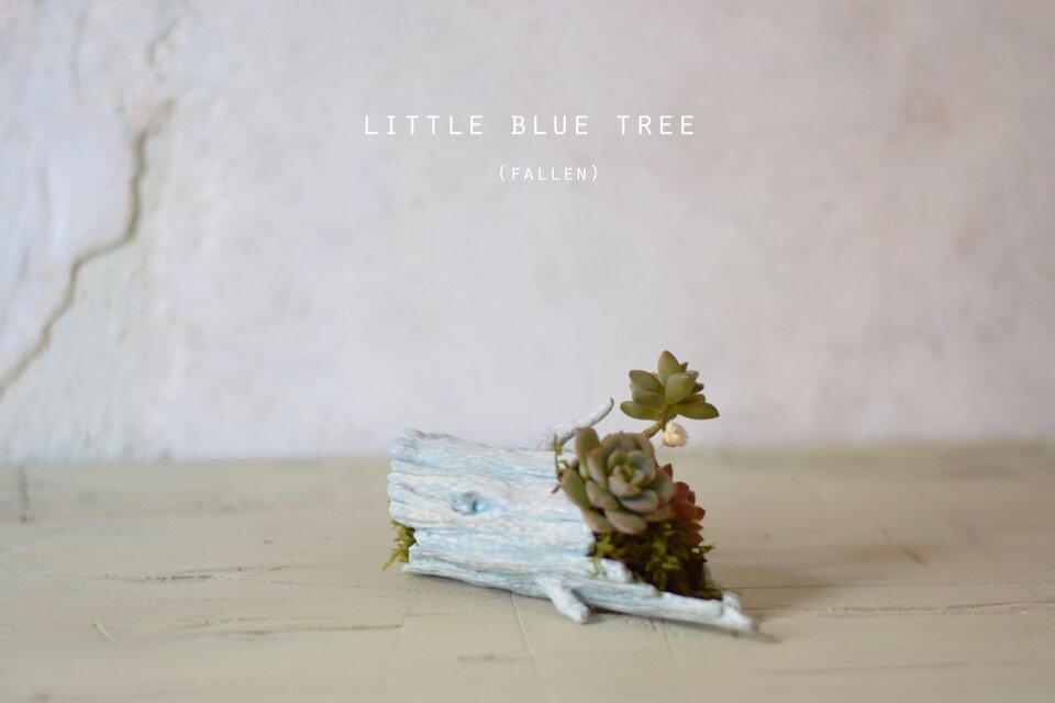 Little blue tree (fallen)