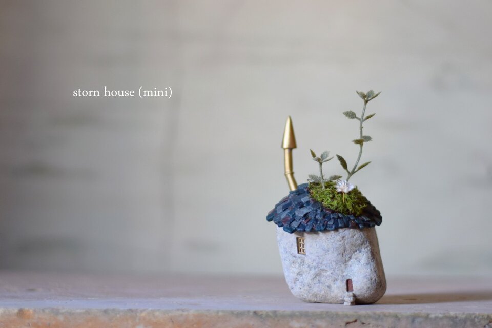 storn house（mini)