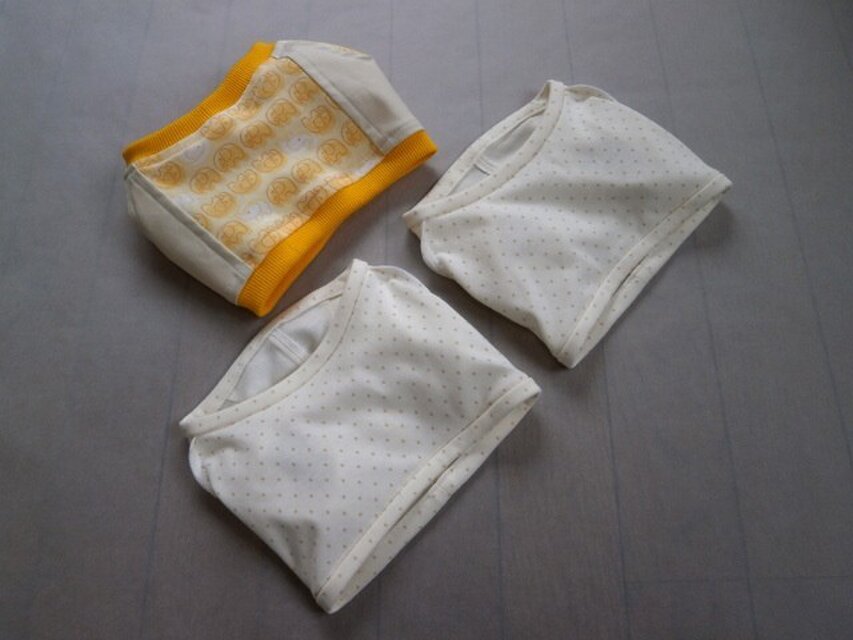 犬服　Ｓ様オーダーメイド：ケアウェアＴシャツ＆アンダーウェア３点セット