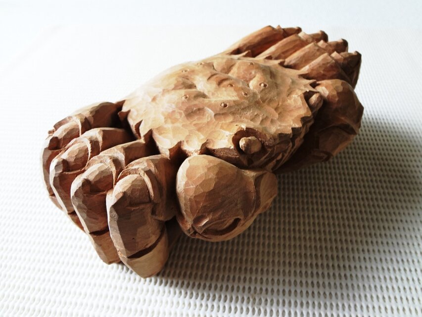 前向きに歩くカニ「毛ガニ・スペシャル」A | iichi 日々の暮らしを