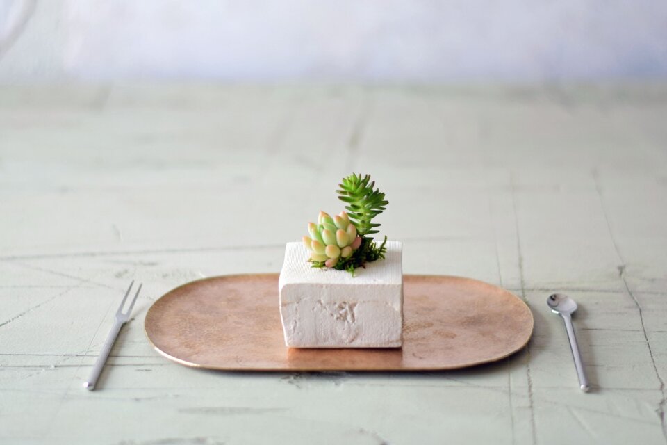 小さなとうふのうつわと植物