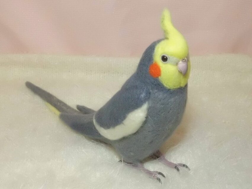 羊毛フェルト オカメインコノーマルブローチ - アクセサリー