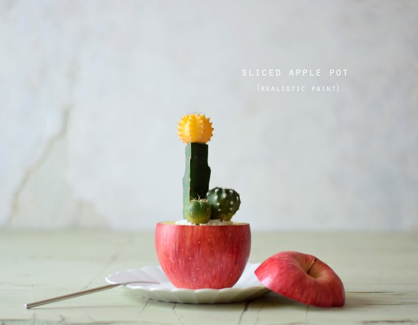 sliced　apple pot　(realistic paint）サボテン