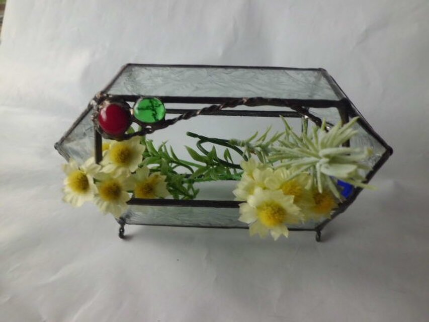 ６角テラリュム