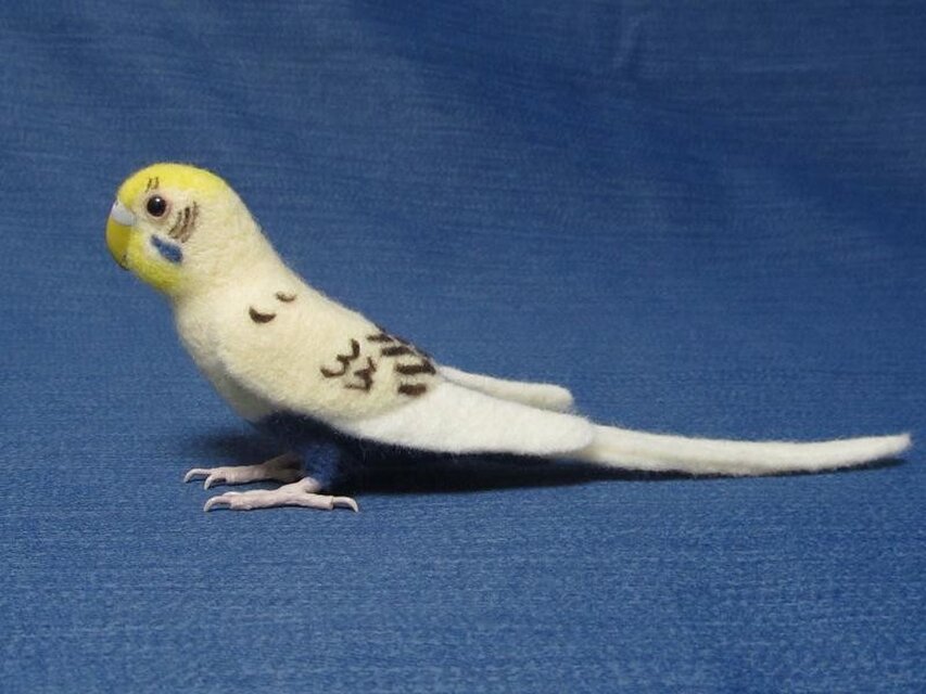 羊毛フェルト セキセイインコ クリームハルクインバイオレット | iichi