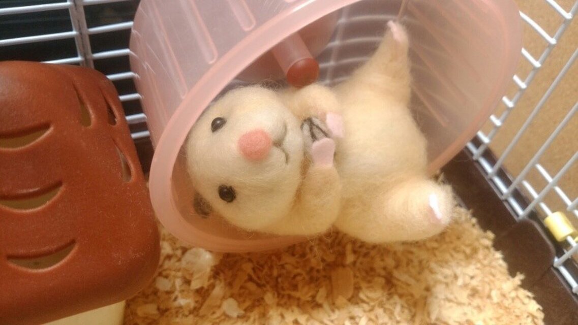 羊毛ハムスター＊キンクマ＊ごろん