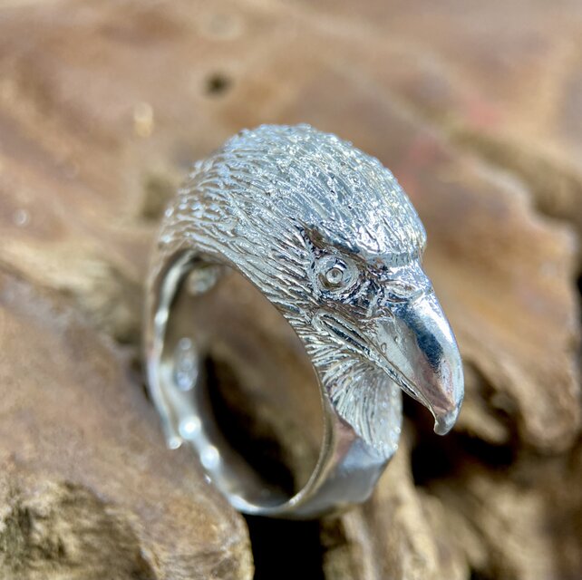 高い空から俯瞰する鷲の目で見て行こう！イーグルリング | iichi 日々