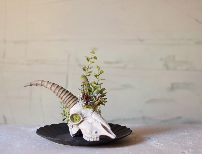 plants born （goat)アーティフィシャルフラワー