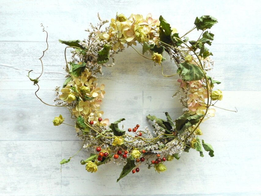 ホップ（初秋）