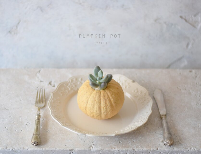 かぼちゃの器と植物のなんとも言えない一体感に思わず微笑むプランター（bell）アイボリー