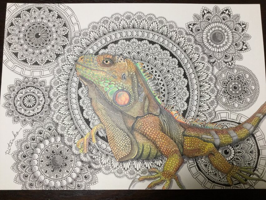 原画 肉筆 一点もの ボールペンアート  グリーンイグアナ  百貨店作家 人気 ボールペン画 絵画