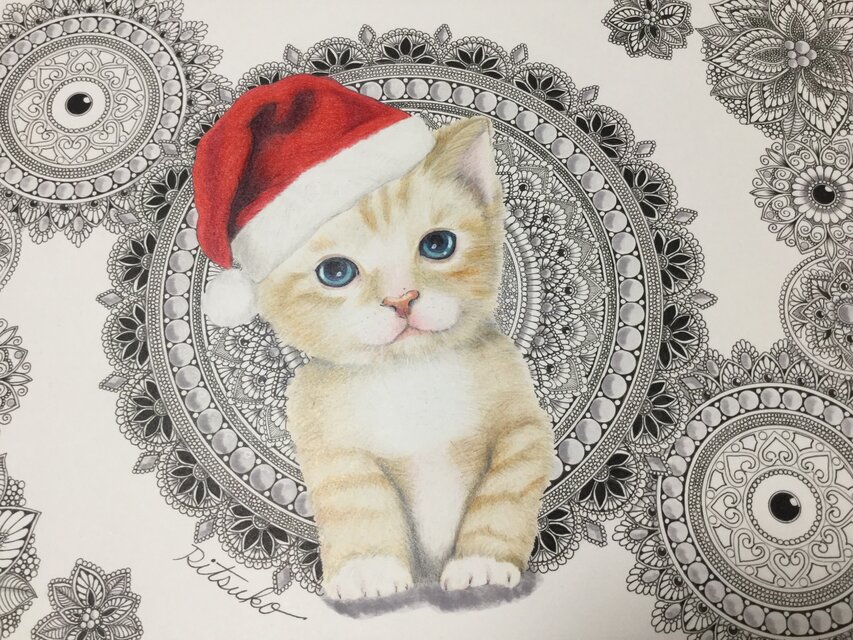 原画 肉筆 一点もの ボールペンアート サンタクロース クリスマス Xmas 猫 小猫 仔猫 ボールペン画 絵画 日 の暮らしを心地よくするハンドメイドやアンティークのマーケットプレイス