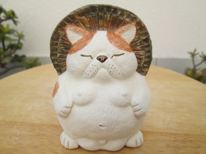 七変化★エキゾチックショートヘア(♂)②