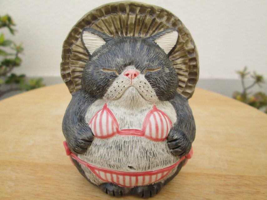 ビキニ★エキゾチックショートヘア(♀)