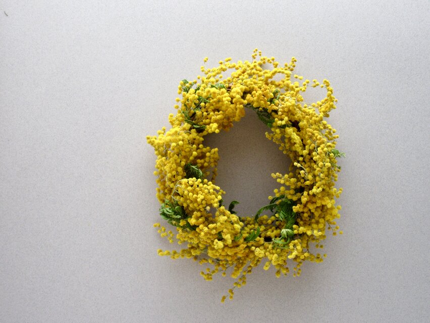 [ 再販 ] ミモザオーバルリース