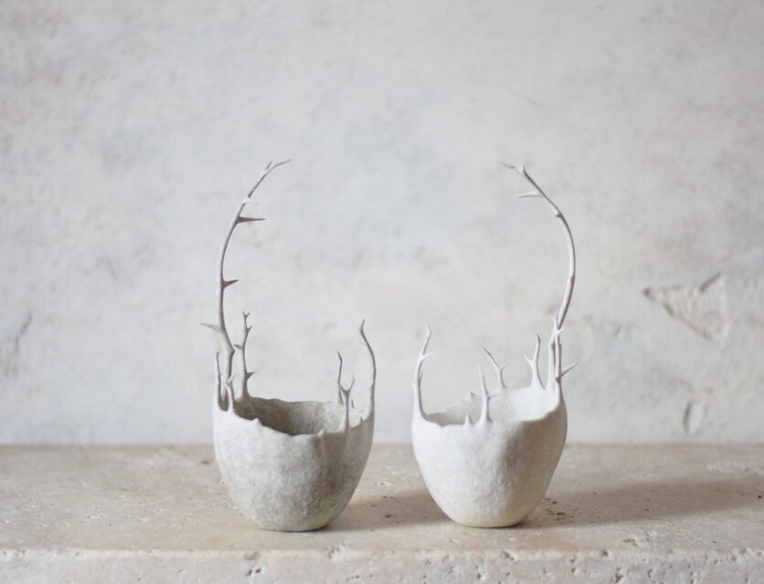 少しだけ嫉妬深い器（器のみ）