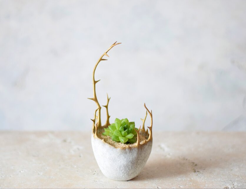 少しだけ嫉妬深い器（white&gold）