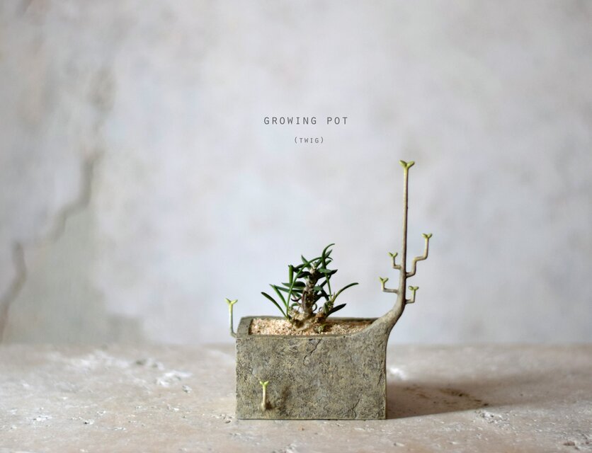 日々育ってゆく植物をうらやましく思い,ついに見よう見真似で自ら成長をはじめたプランター(けど少し間違っている）(square)