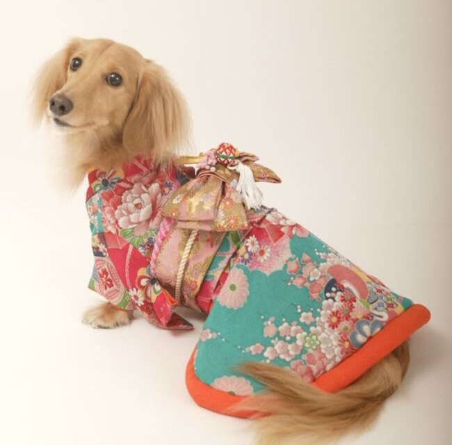 犬着物】花扇 オーダーメイド デザイン着物 | iichi 日々の暮らしを