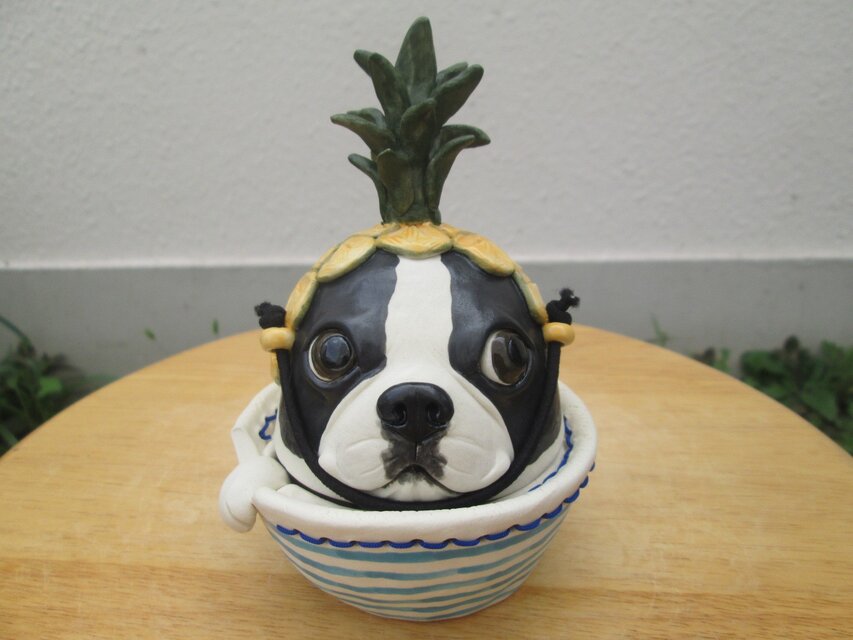 パイナップル被り★ボストンテリア（小物入れ）