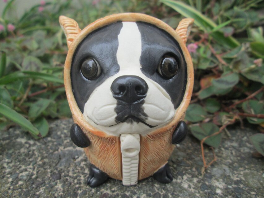 2019年の干支・亥かぶりボストンテリア③