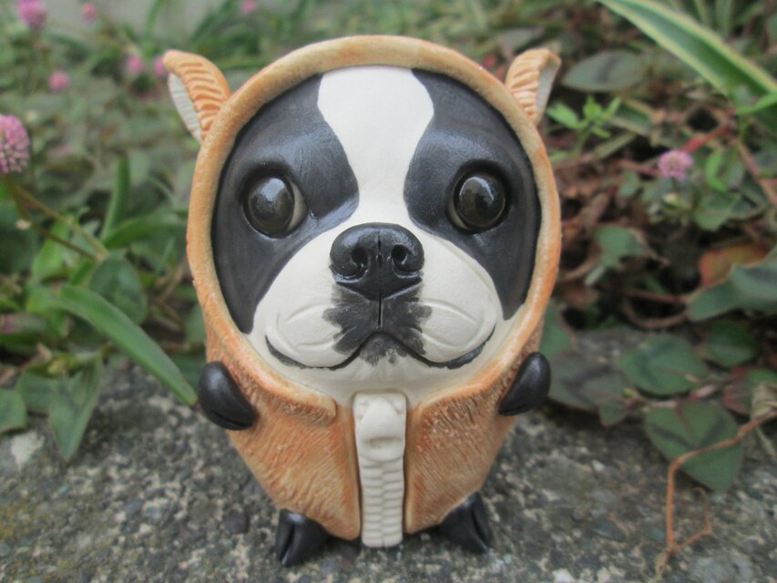 2019年の干支・亥かぶりボストンテリア④