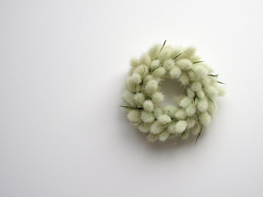 ラグラスリース  ( s )