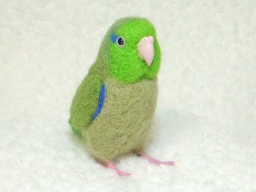 ライフサイズ♪ マメルリハ グリーン ノーマル 緑 羊毛フェルト 受注