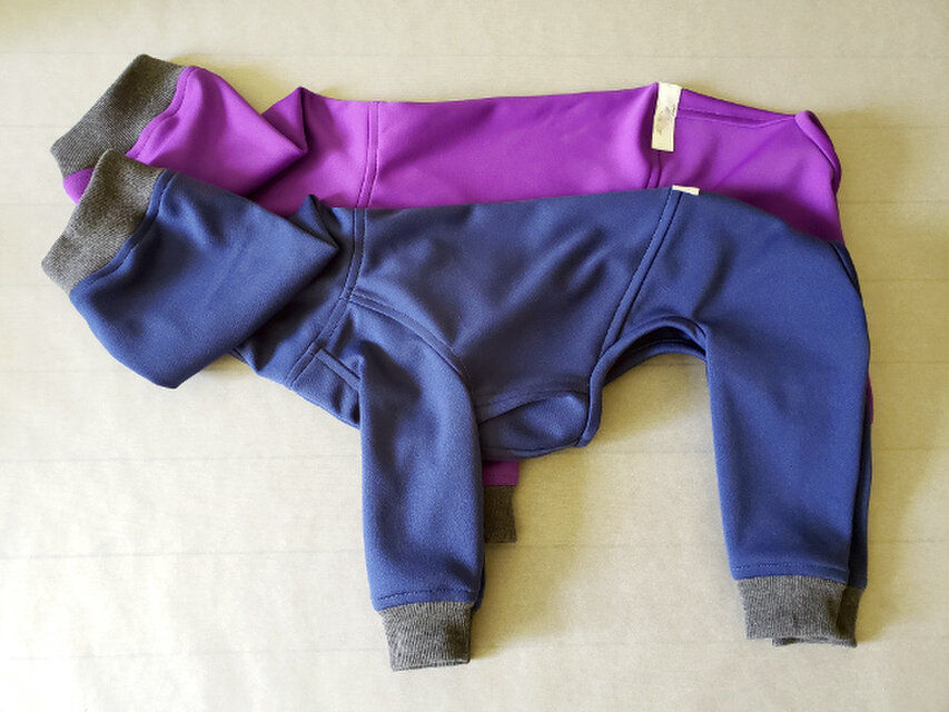 犬服　Ｔ様オーダーメイド品：ウィペット用フルスーツ　ネイビーブルー＆パープル