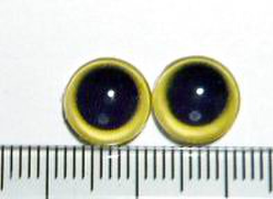 にゃんこのおめめ○半球グラスアイ○猫目○10mm○10603
