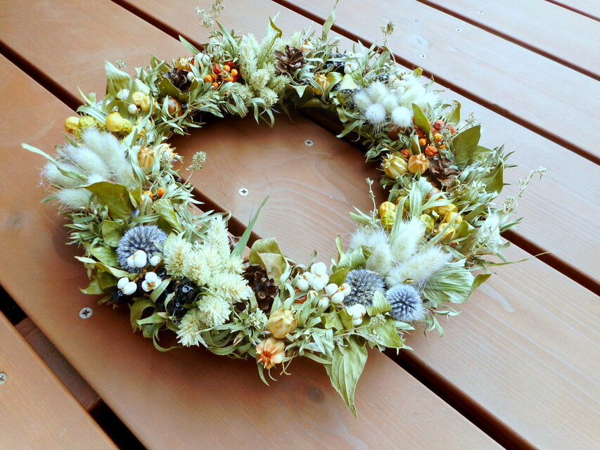 木の実、草の実